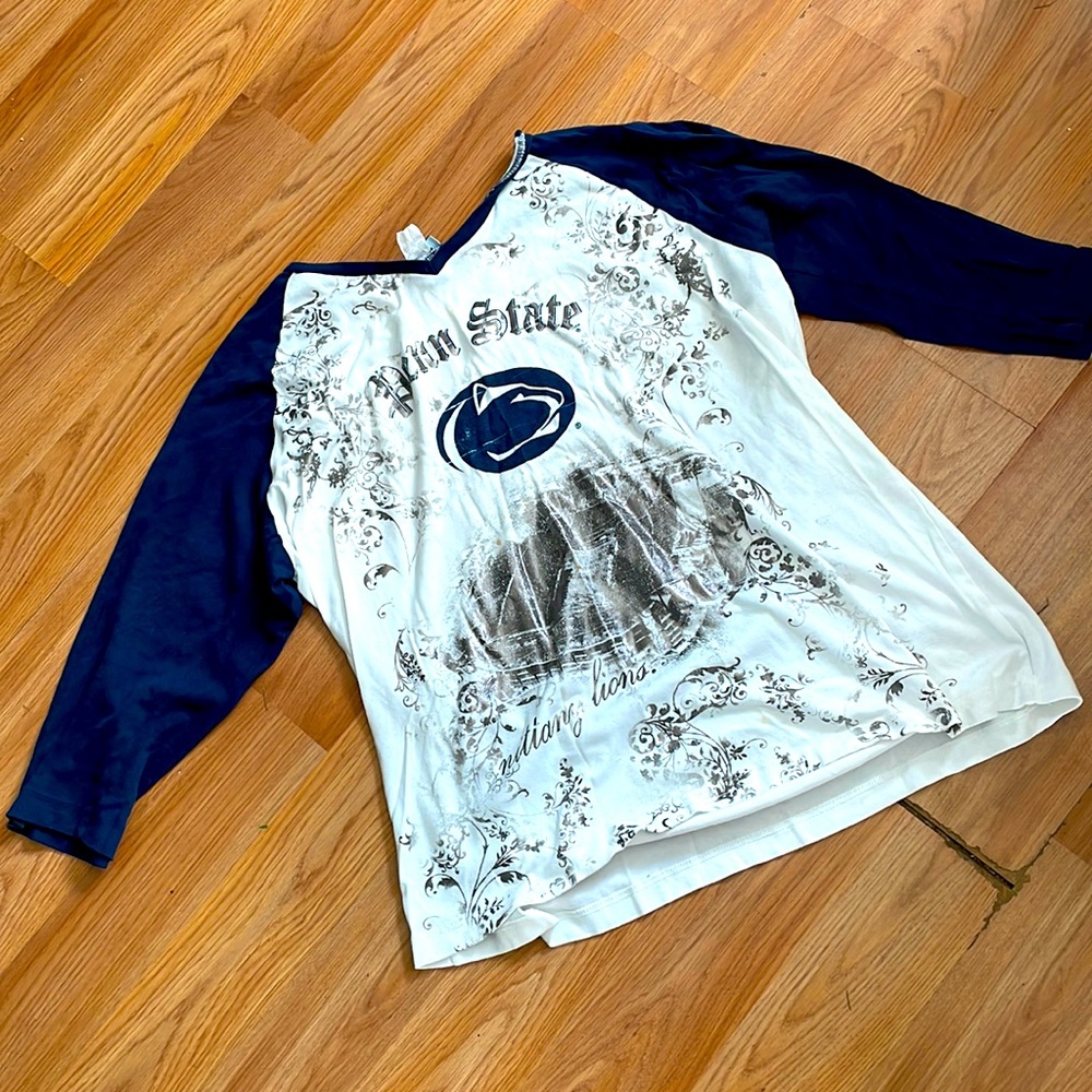 Vintage Penn State, Nittany, Lions, beaver, stadium shirt has a metallic sheen